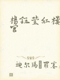 杨钰莹红楼醉高官封面
