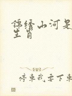 锦绣山河是什么生肖