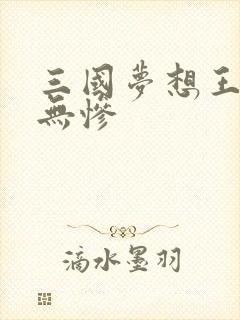 三国梦想王元姬无惨封面