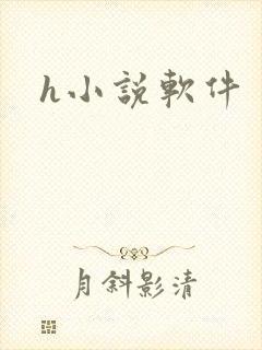 h小说软件封面