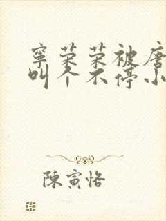 宁荣荣被唐三桶叫个不停小说封面