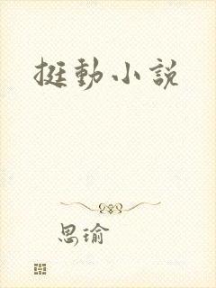 挺动小说封面