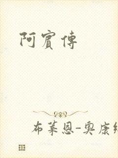 阿宾传
