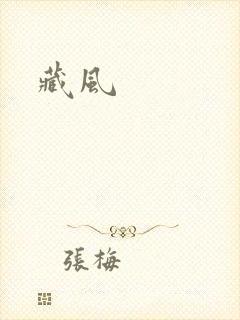 藏风封面