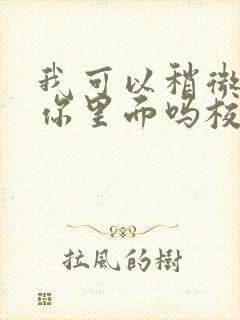 我可以稍微放进你里面吗校园版封面