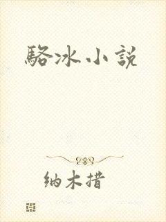 骆冰小说