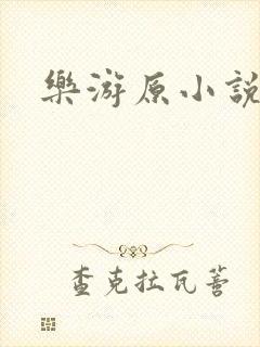 乐游原小说封面