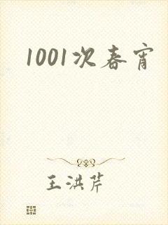 1001次春宵封面