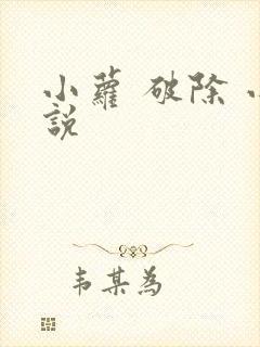 小萝 破除 小说