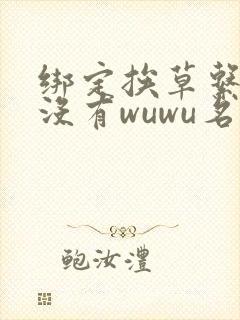 绑定挨草系统后没有wuwu名字封面