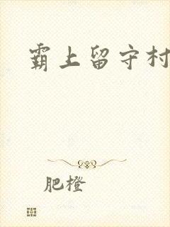 霸上留守村妇