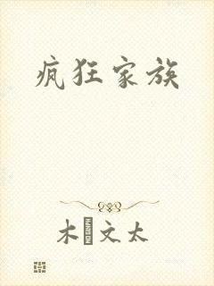 疯狂家族封面