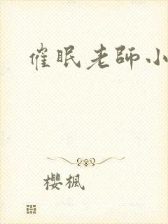 催眠老师小说