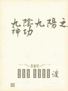 九阴九阳之阴阳神功