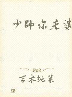 少帅你老婆封面