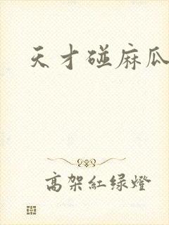 天才碰麻瓜