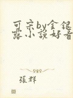 可宋by金银花露小说好看吗封面