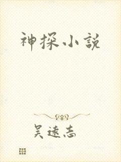 神探小说