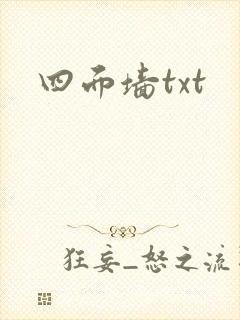 四面墙txt