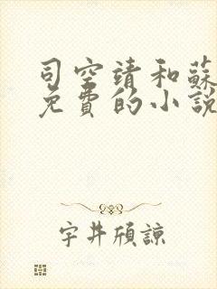 司空靖和苏月汐免费的小说笔趣阁