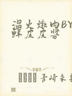 温火炖肉BY海鲜皮皮酱