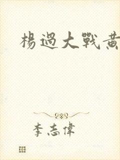 杨过大战黄蓉