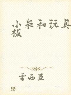 小米和玩具店老板