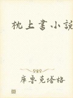 枕上书小说