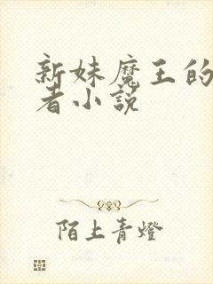 新妹魔王的契约者小说封面