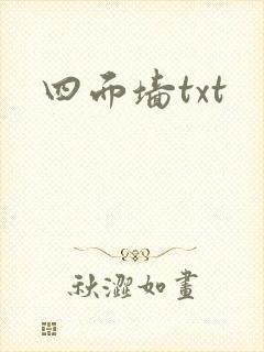 四面墙txt