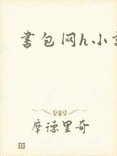 书包网h小说