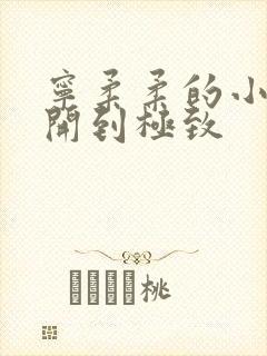 宁柔柔的小泬撑开到极致