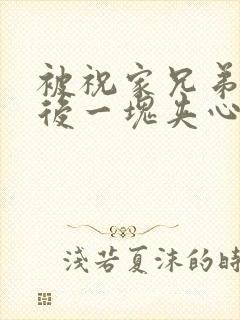 被祝家兄弟共享后一块夹心饼封面