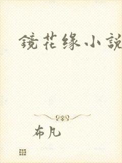 镜花缘小说封面