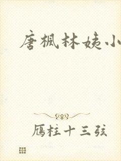 唐枫林姨小说封面