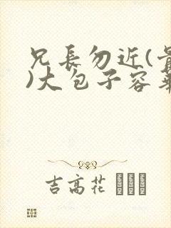 兄长勿近(骨科)大包子容华