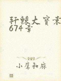 轩辕大宝袁雪妃674章