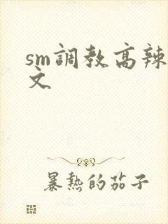 sm调教高辣h文