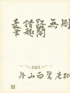 走错路无删减版笔趣阁