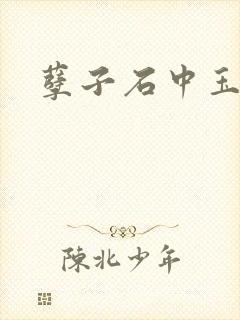 孽子石中玉