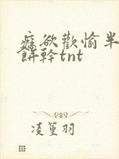 瘾欲欢愉半块小饼干tnt