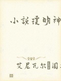 小说琼明神女录