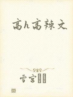 高h高辣文