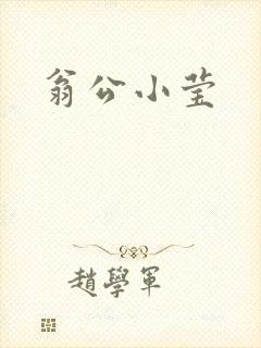 翁公小莹