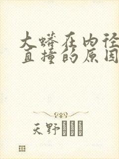 大蟒在内径横冲直撞的原因封面