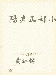 阳光正好小说