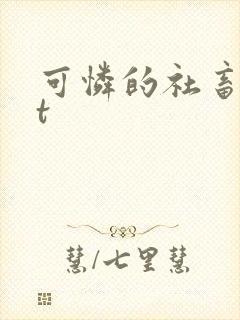 可怜的社畜txt