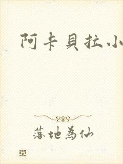 阿卡贝拉小说