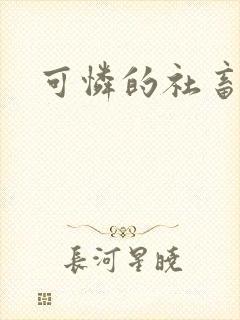 可怜的社畜小说