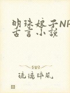 明珠娘子NPC古言小说
